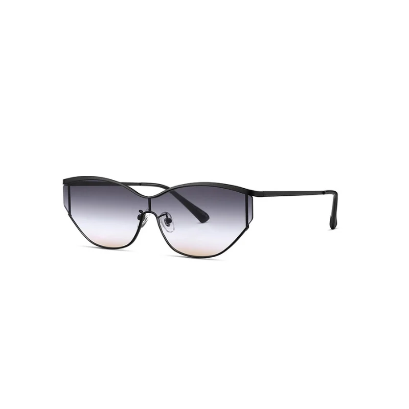 Sunglasses Collection G10